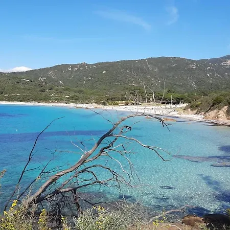 Feriehus Piccula Casa Albitreccia