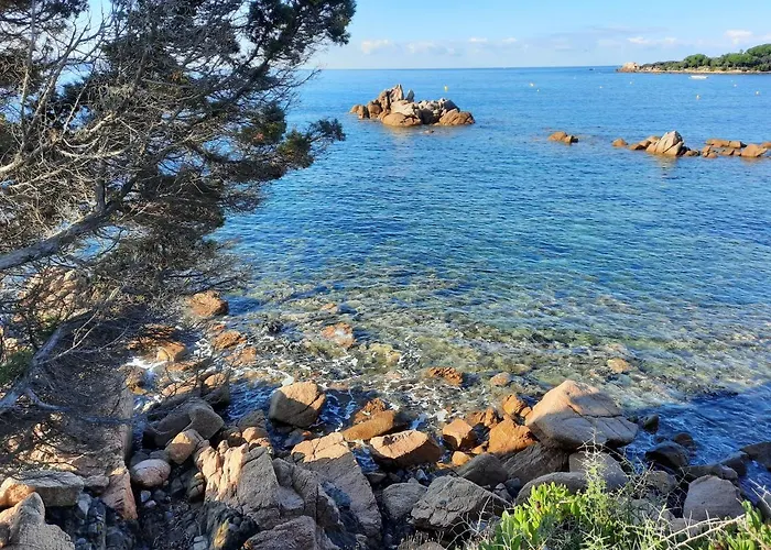 Piccula Casa Albitreccia