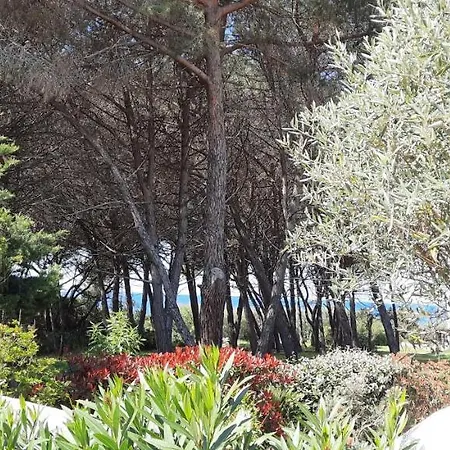 Vakantiehuis Piccula Casa *