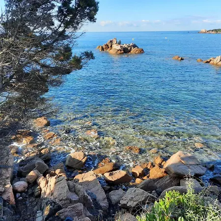 Piccula Casa Albitreccia