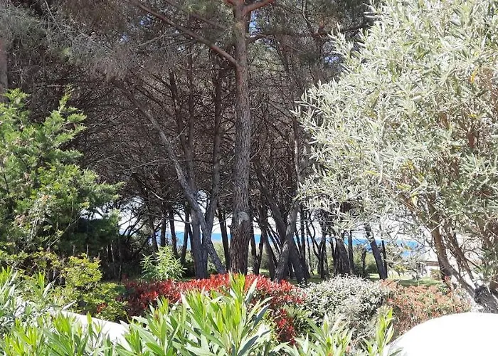 Hébergement de vacances Piccula Casa *