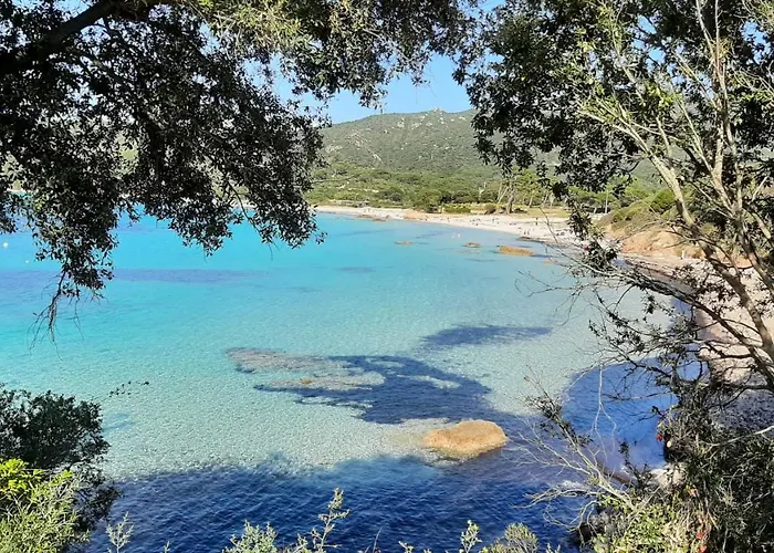 Hébergement de vacances Piccula Casa Albitreccia